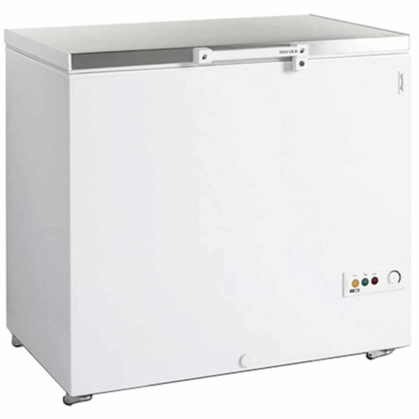 Ларь морозильный Tefcold FR305S