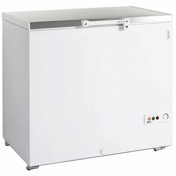 Ларь морозильный Tefcold FR305S