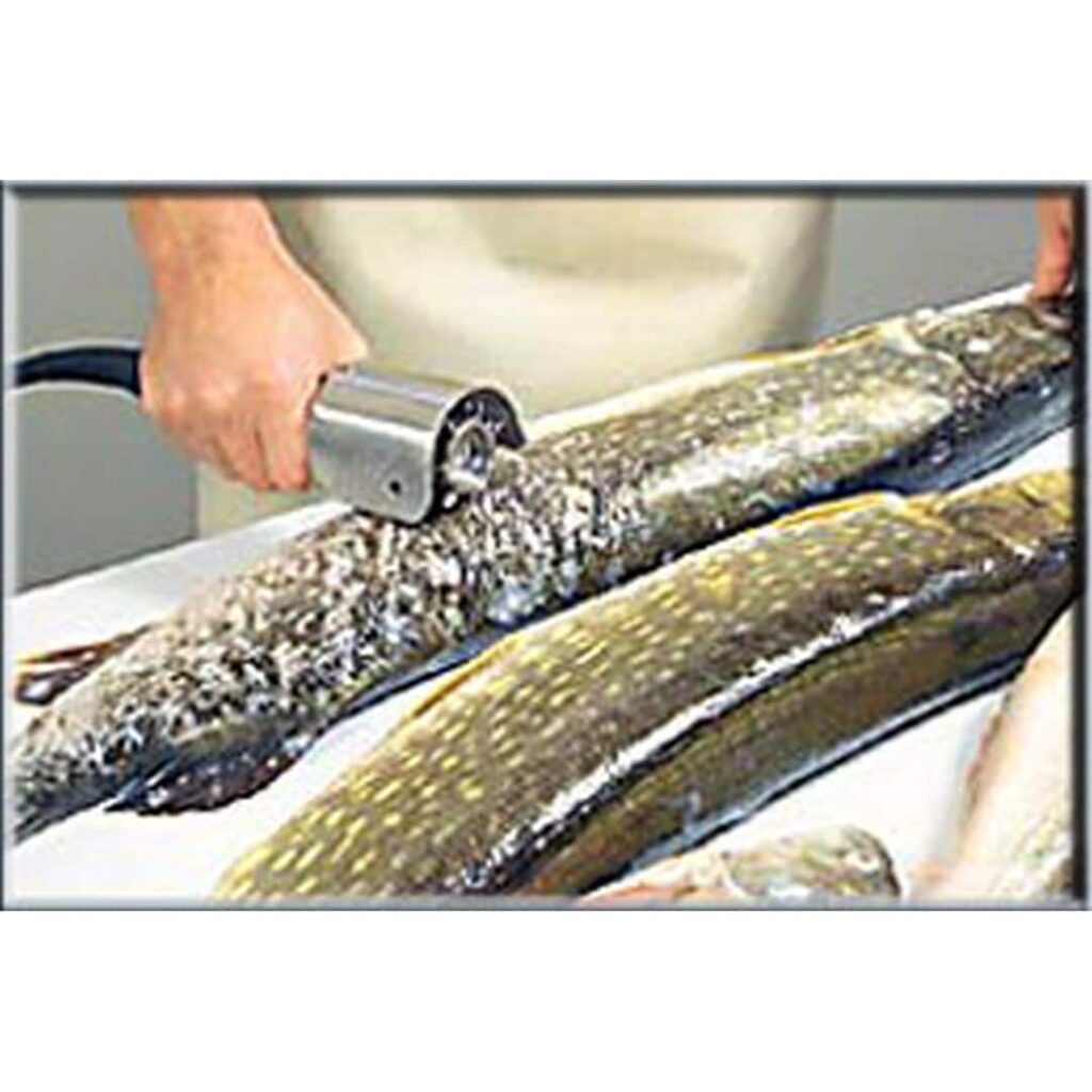 Рыба промываемая. Рыба промываемая. Оттаивание мороженой рыбы. Рыба в раковине. Мойка рыбы.