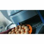 Тестоделительная машина Daub DR Robot Variomatic 4/30